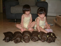 July 2004 小朋友和 六隻巧克力 小拉拉