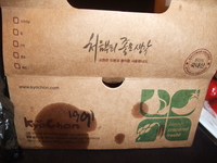 傳說中的韓國炸雞，導遊好心代叫外送。